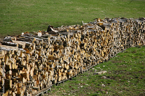 firewood logs