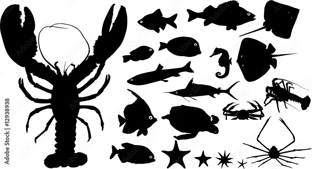 Many silhouettes of water animals