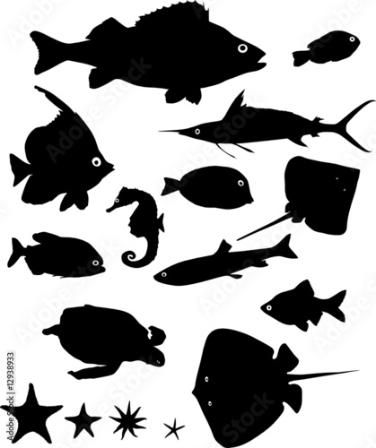 Many silhouettes of fish and other water animals