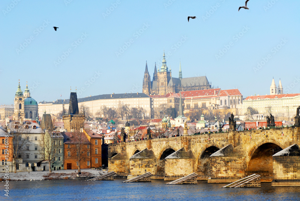 Obraz premium Prague castle and charles bridge