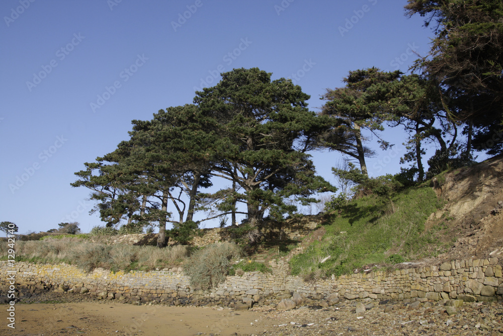 Obraz premium a view of an island in brittany