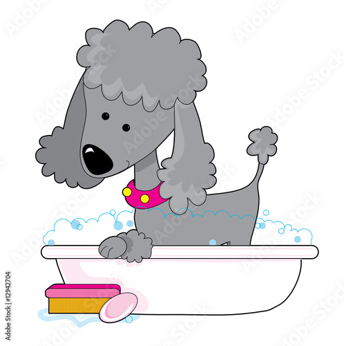 Poodle Bath Grey