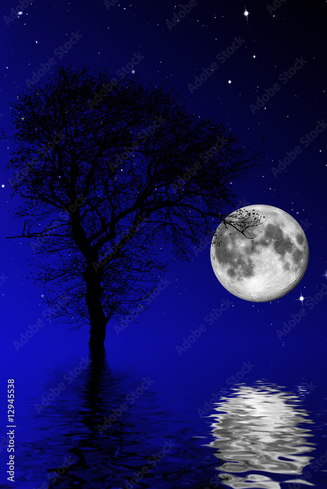 notte stellata con luna piena Stock Illustration