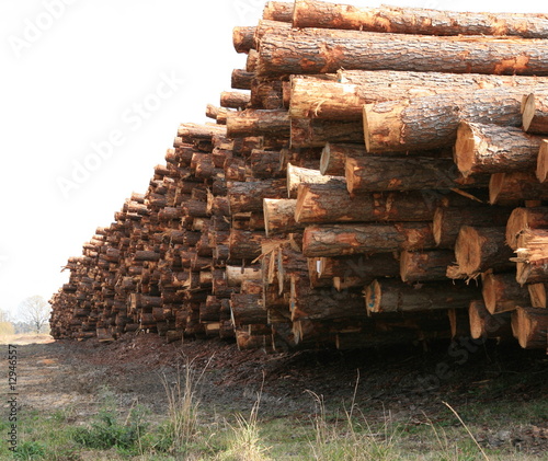 logging plant