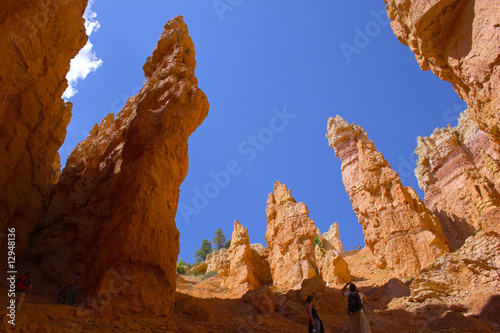 Red rock of Bryce