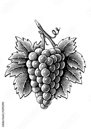 Racimo de uvas