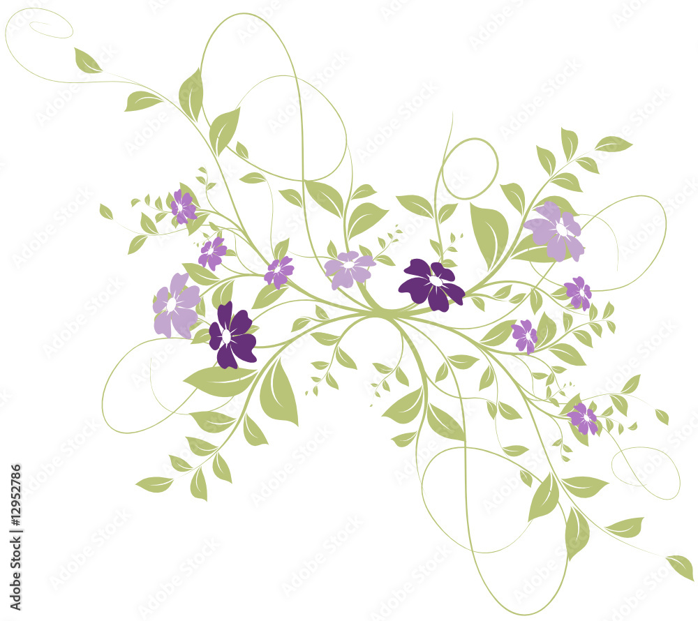 floral design - décoration vectoriel rose et vert fond blanc