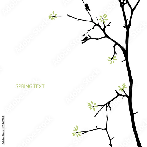 spring tree