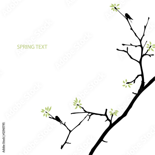 spring tree