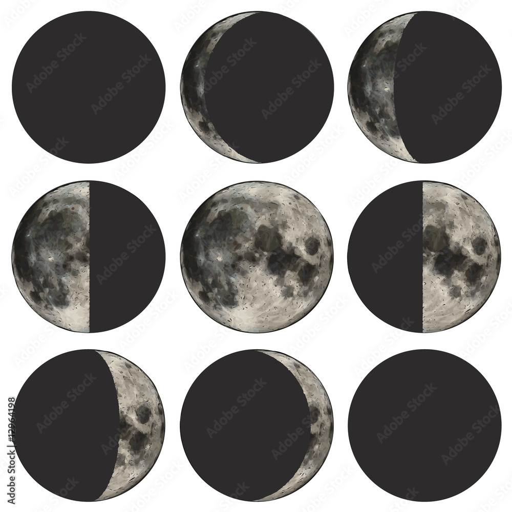 Obraz premium Phases of the moon scientific vector illustration