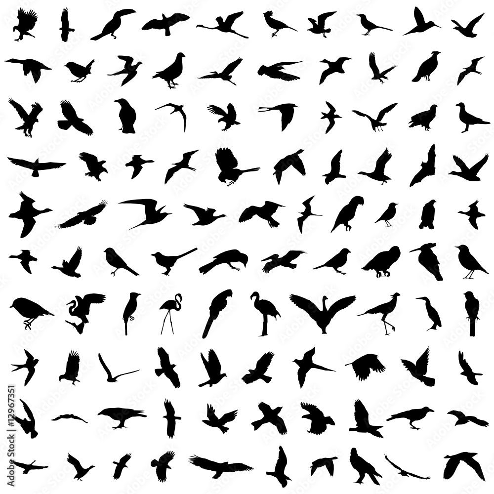 100 birds