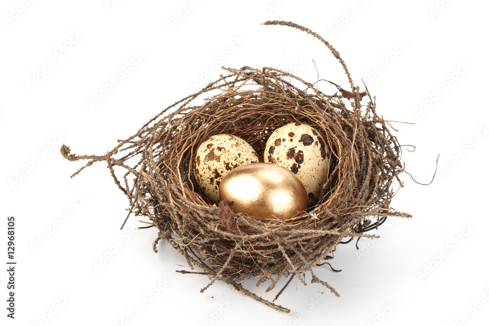 Gold egg Gold egg