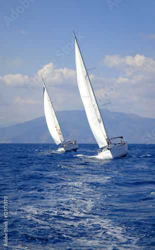 two race yacht