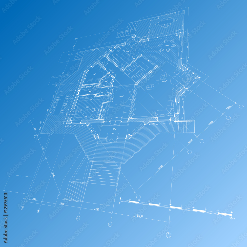 house plan: vector blueprint