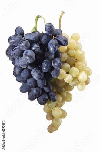 grappoli