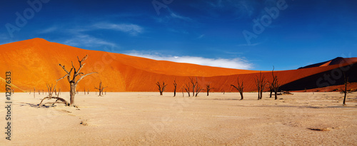 Namib Desert, Sossusvlei, Namibia #12976313