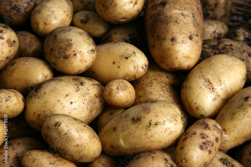 Raw Potatoes