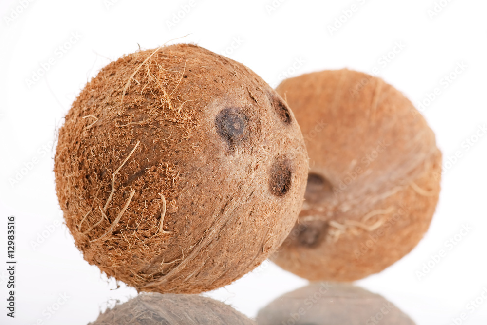 coconut coconut