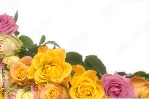 Pink and yellow roses