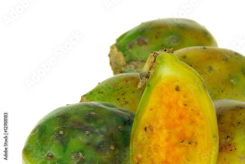 Kaktusfeige - prickly pear 19