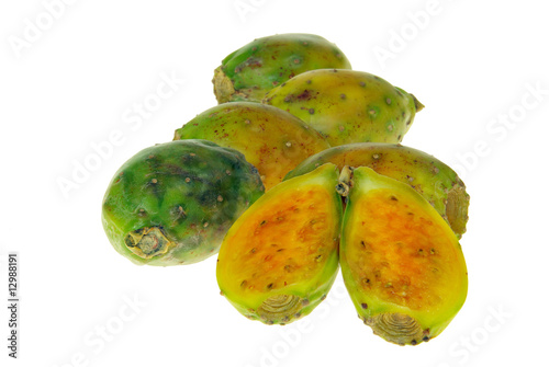 Kaktusfeige - prickly pear 20