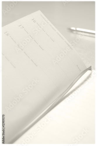 Caro diario