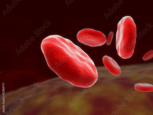 Blood Cells