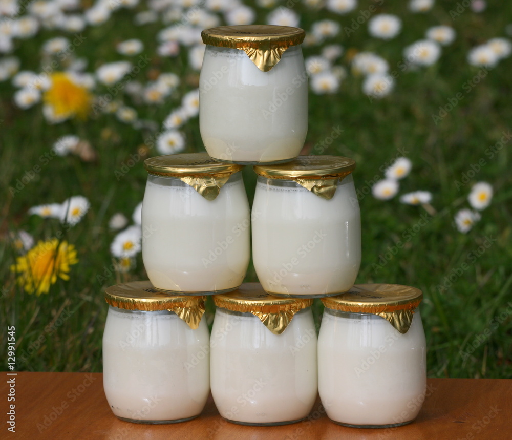 milk,lait,yaourt ,bouteille ,pot,verre,frais,fraicheur,crème
