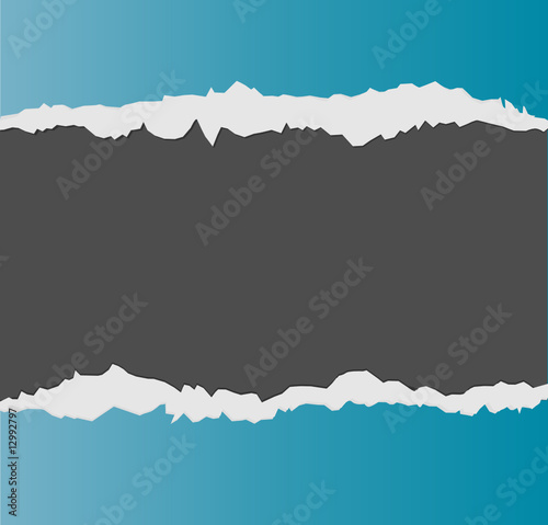 Ripped paper. Vector.