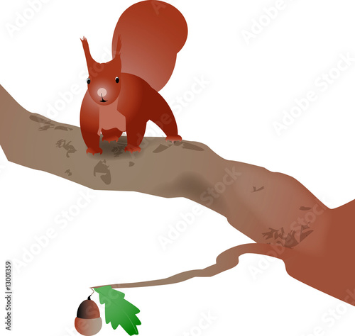 Futtersuche