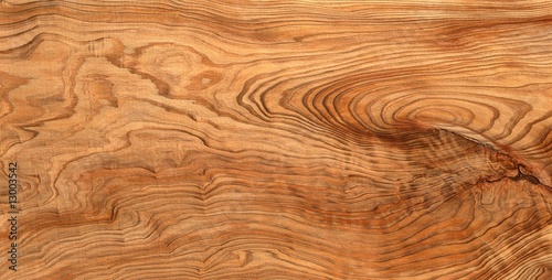 natural woodgrain texture photo