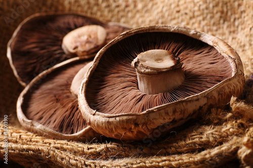 portobello mushrooms photo