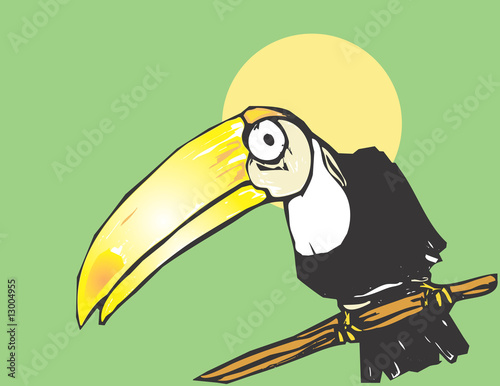 toucan