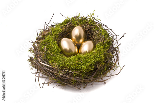 Golden eggs on a nest