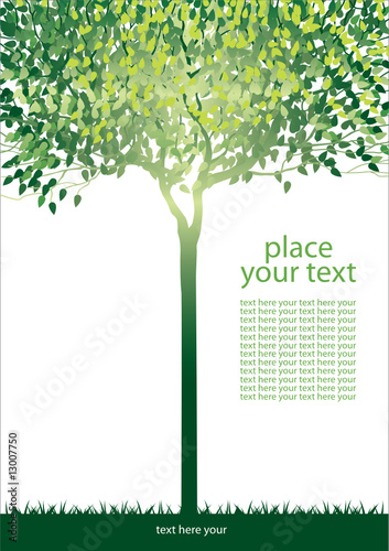 tree