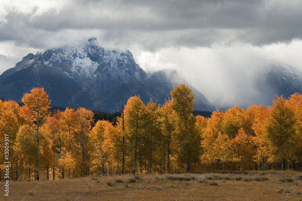 Φωτογραφία Storm, Aspens and Tetons