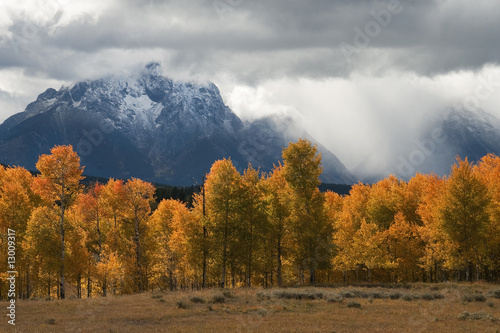 Canvas Print Storm, Aspens and Tetons