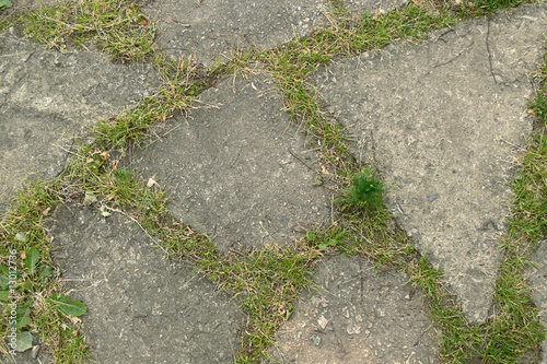 stone walkway and grass