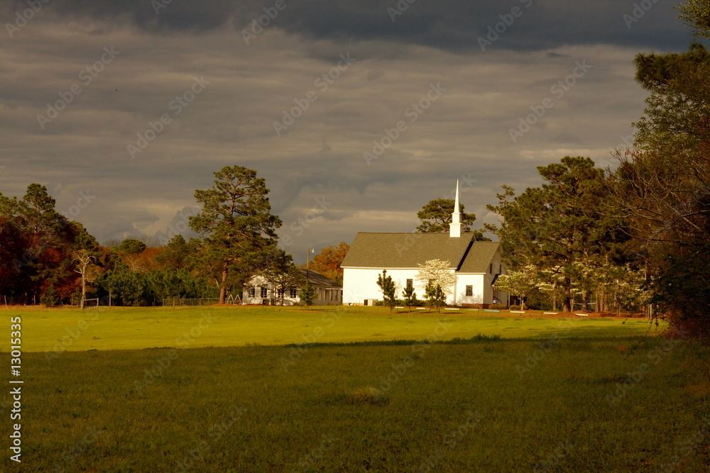 Obraz premium In the Spotlight