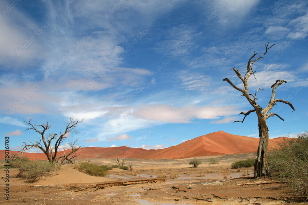 Namibwüste bei Sossuvlei.Namibia