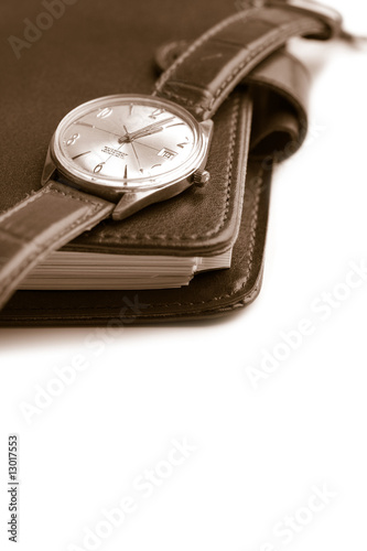 leather organizer and watch isolated (shallow focus)