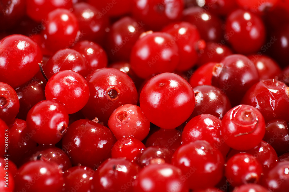 cranberries cranberries