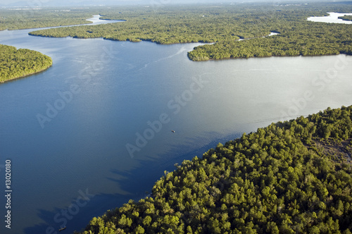 Aerial view of mangrove forest Sarawak River Borneo