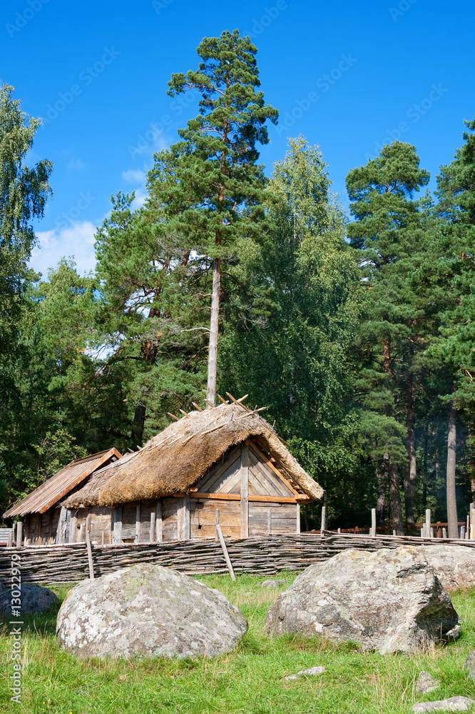 Obraz premium Vikings village