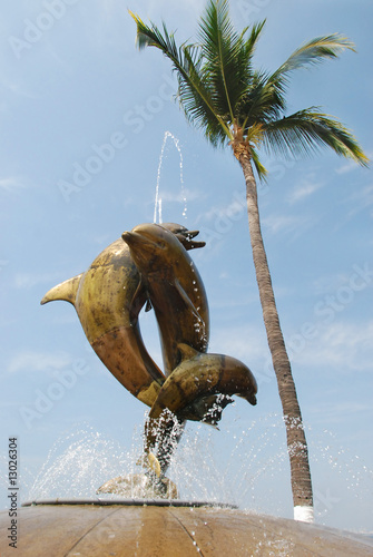 Three Dolphins in Puerto Vallarta