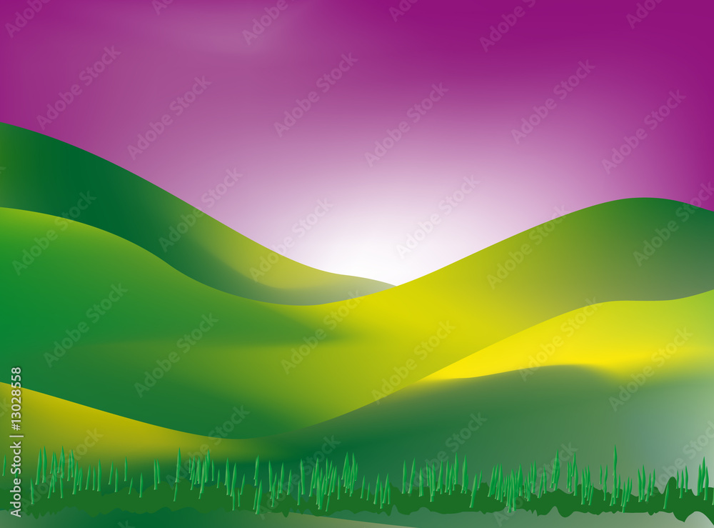 Obraz premium sunny grass landscape at sunset - mesh work