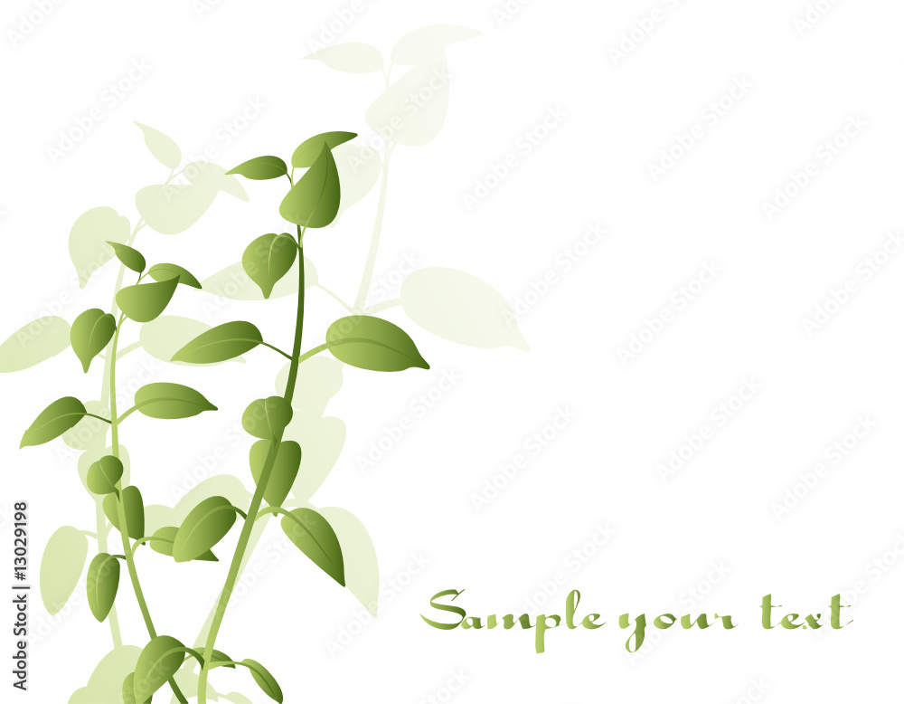 Nice background with plants Nice background with plants