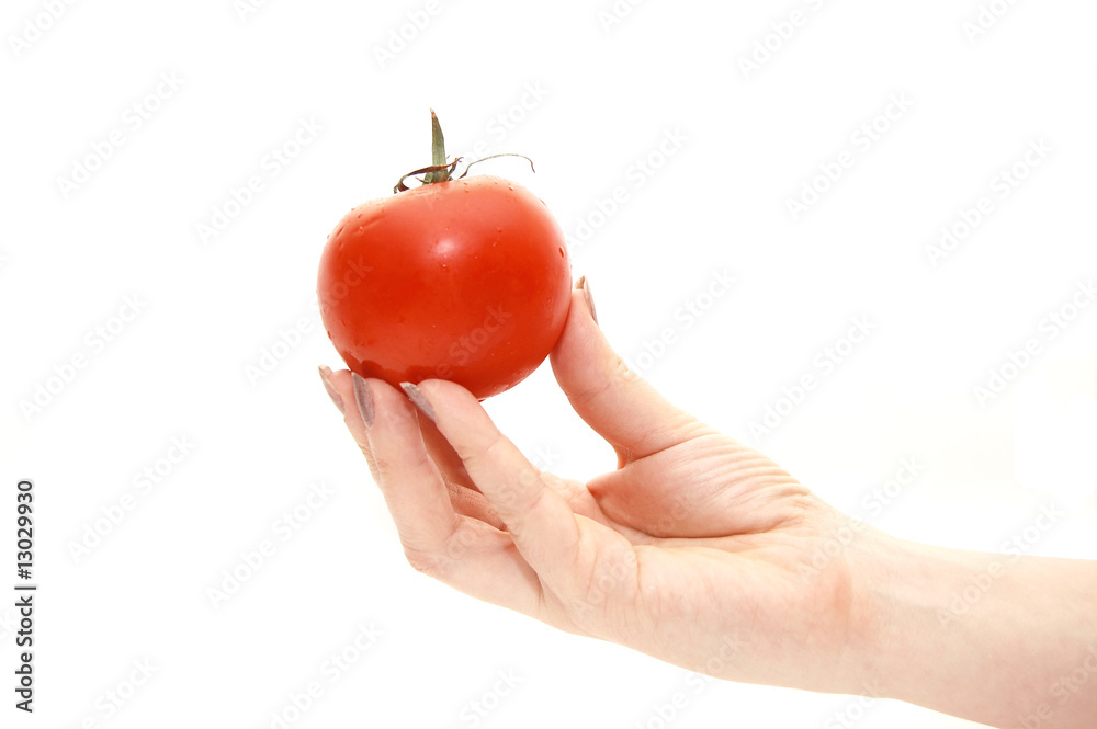 The female hand holds a tomato on a white background The female hand holds a tomato on a white background