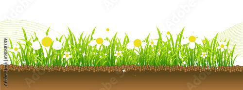 Spring, flowers on the meadow