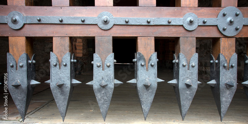 Close up of a gate to a medieval castle
